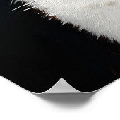 Funny White Cat with Attitude, Not Impressed – Whi Poster (Hoek)