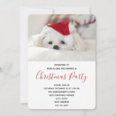 Funny White Dog in een Rode Kerstfeest Pet Kaart (Voorkant)