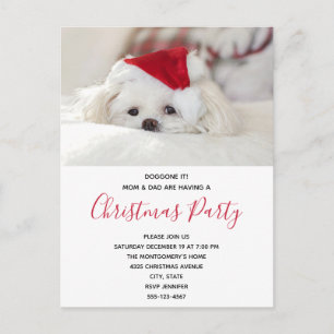 Funny White Dog in een Rode Kerstfeest Pet Uitnodiging Briefkaart