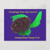 Funny & Wierd Briefkaart niet-geïdentificeerd vlie (Voorkant)