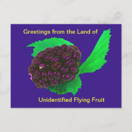 Funny & Wierd Briefkaart niet-geïdentificeerd vlie