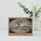 Funny Wild Cat, Cheetah, Dier Briefkaart (Staand voorkant)