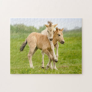 Funny Wild Konik Horses Foals die samen spelen - Legpuzzel