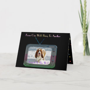 Funny "Wild Thing" Birthday Card W/Basset Hound Kaart