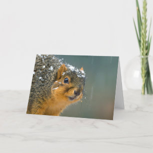 Funny Wildlife Christmas Kaart