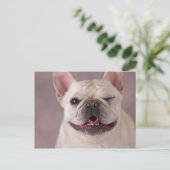 Funny winking Dog French Bulldog Briefkaart (Staand voorkant)