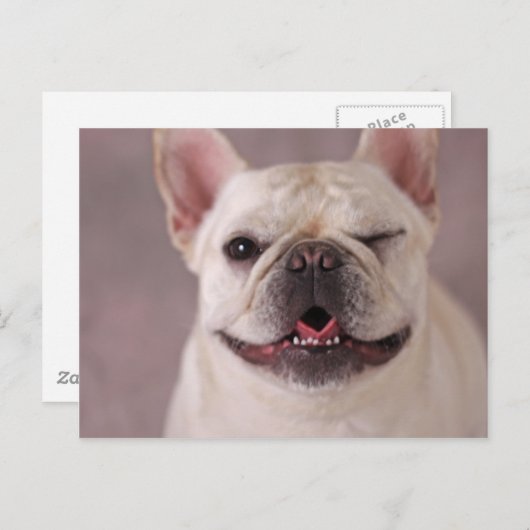 Funny winking Dog French Bulldog Briefkaart (Voorkant / Achterkant)