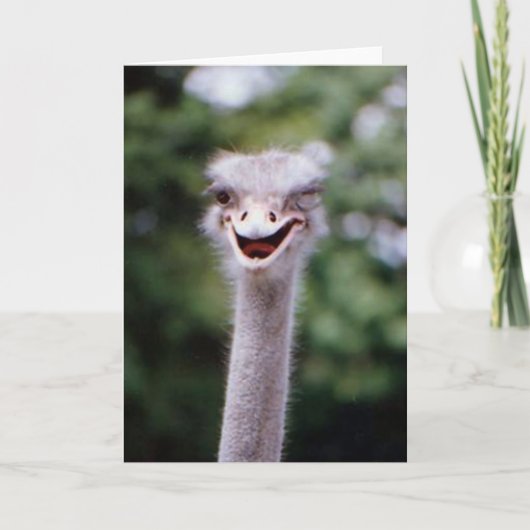 Funny Winking Ostrich Wenskaart () Bedankkaart (Voorkant)