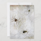 Funny Witches Legs Wied Halloween Party Kaart (Achterkant)