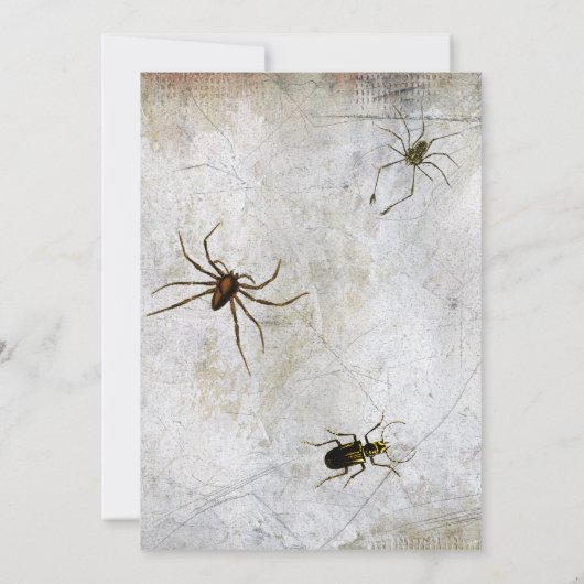 Funny Witches Legs Wied Halloween Party Kaart (Achterkant)