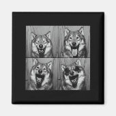 Funny Wolf Photo Booth Sungles Dog  Magneet (Voorkant)