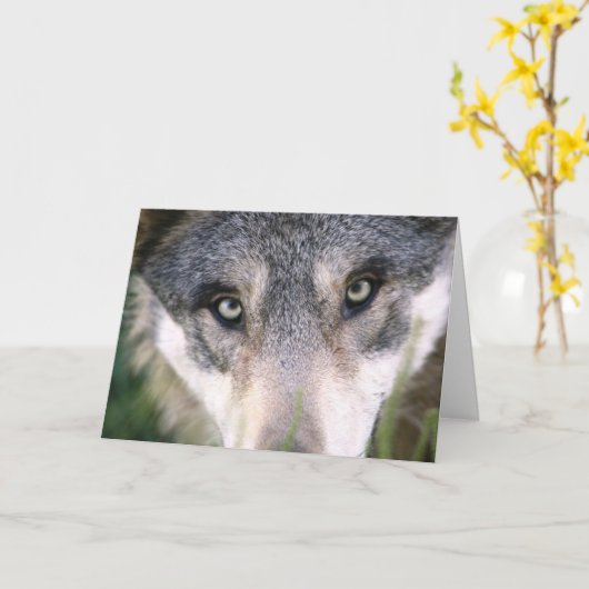 Funny Wolf Up Close Birthday Card Kaart (Gele Bloem)
