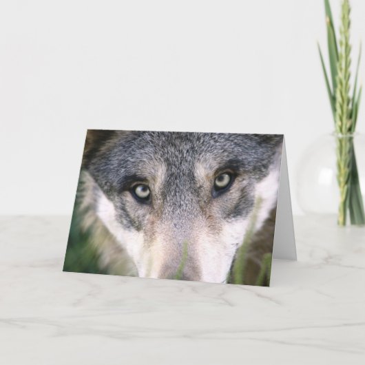 Funny Wolf Up Close Birthday Card Kaart (Voorkant)