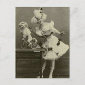  Funny Woman geprezen als poodle Briefkaart (Voorkant)