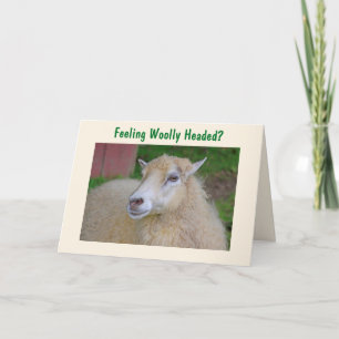 Funny Wooly Sheep krijgt het goed Kaart