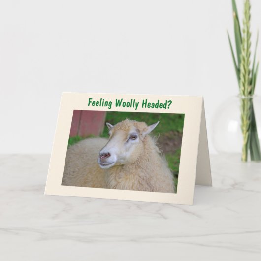 Funny Wooly Sheep krijgt het goed Kaart (Voorkant)