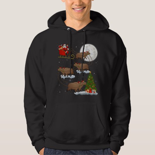 Funny Xmas Lighting Tree Santa Riding Capybara Chr Hoodie (Voorkant)