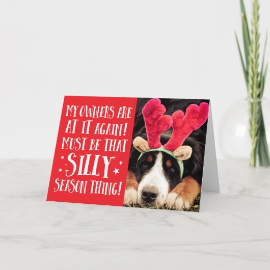 Funny Xmas Quote Pets Kerstmis Wenskaart Feestdagen Kaart (Voorkant)