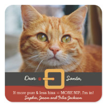 Funny Xmas Santa Cat Spint meer minder Hiss-foto