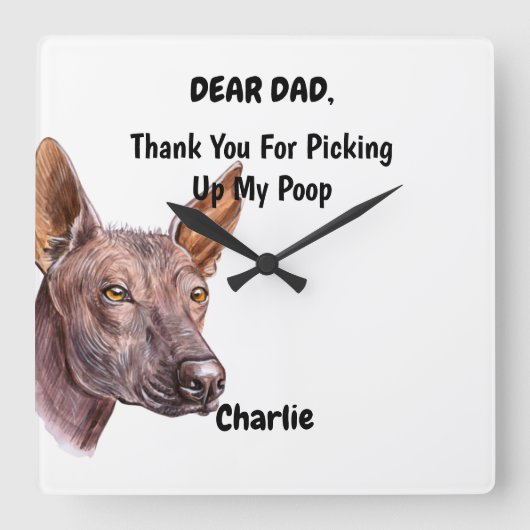 Funny Xoloitzcuintle Waterverf Canine Art Vierkante Klok (Voorkant)