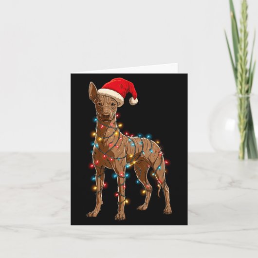 Funny Xoloitzcuintli Christmas Graphic Dog Lights Kaart (Voorkant)