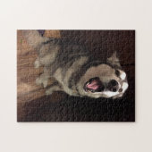 Funny Yawning Alaskan Malamute Foto Legpuzzel (Horizontaal)