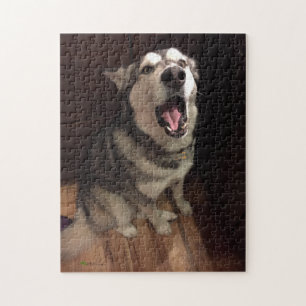 Funny Yawning Alaskan Malamute Foto Legpuzzel