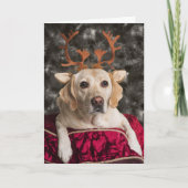 Funny Yellow Lab kerstkaarten Feestdagen Kaart (Voorkant)