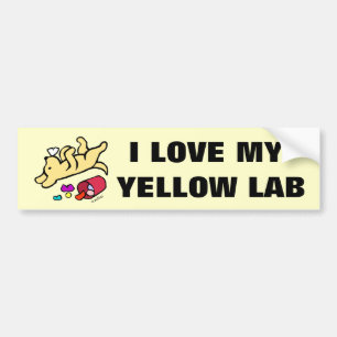 Funny Yellow Labrador Cartoon Bumpersticker