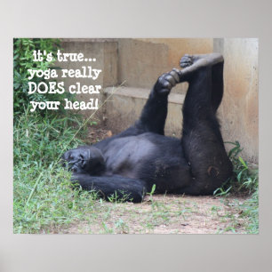 Funny Yoga Gorilla Poster (16x20)