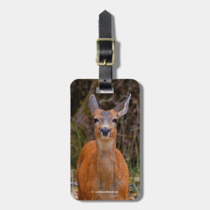 Funny Young Blacktail Deer glimlacht op fotograaf Bagagelabel
