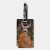 Funny Young Blacktail Deer glimlacht op fotograaf Bagagelabel (Achterkant verticaal)