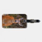 Funny Young Blacktail Deer glimlacht op fotograaf Bagagelabel (Achterkant horizontaal)