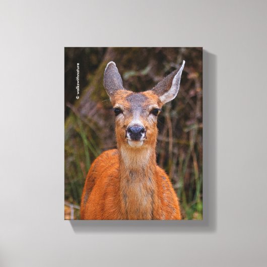 Funny Young Blacktail Deer glimlacht op fotograaf Canvas Afdruk (Voorkant)
