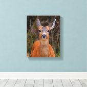 Funny Young Blacktail Deer glimlacht op fotograaf Canvas Afdruk (Insitu (Houten vloer))