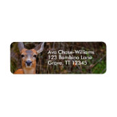 Funny Young Blacktail Deer glimlacht op fotograaf Etiket (Voorkant)