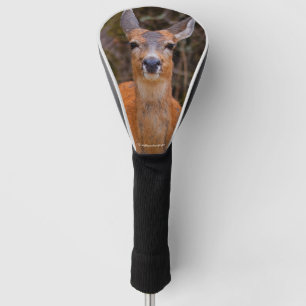 Funny Young Blacktail Deer glimlacht op fotograaf Golfheadcover