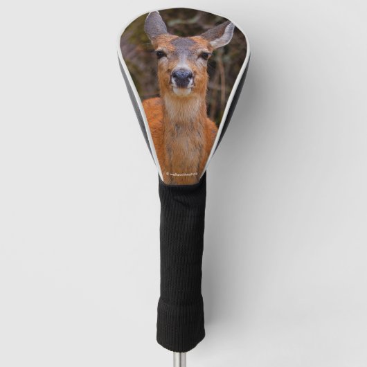 Funny Young Blacktail Deer glimlacht op fotograaf Golfheadcover (Voorkant)