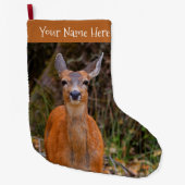 Funny Young Blacktail Deer glimlacht op fotograaf Grote Kerstsok (Voorkant)
