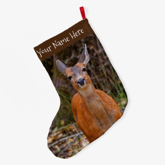 Funny Young Blacktail Deer glimlacht op fotograaf Grote Kerstsok (Achterkant (Hangend))