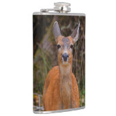 Funny Young Blacktail Deer glimlacht op fotograaf Heupfles (Rechts)