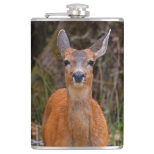 Funny Young Blacktail Deer glimlacht op fotograaf Heupfles