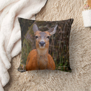 Funny Young Blacktail Deer glimlacht op fotograaf Kussen