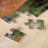 Funny Young Blacktail Deer glimlacht op fotograaf Legpuzzel (Zijkant)