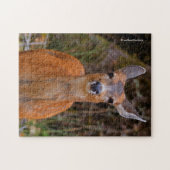 Funny Young Blacktail Deer glimlacht op fotograaf Legpuzzel (Horizontaal)