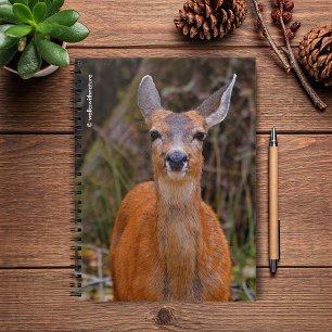 Funny Young Blacktail Deer glimlacht op fotograaf Notitieboek