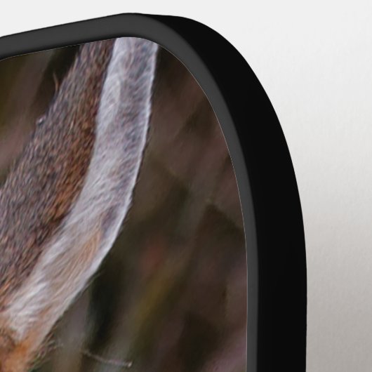 Funny Young Blacktail Deer glimlacht op fotograaf Pickleball Paddle (Links Detail)