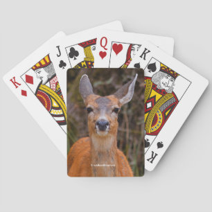 Funny Young Blacktail Deer glimlacht op fotograaf Pokerkaarten