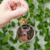 Funny Young Blacktail Deer glimlacht op fotograaf Sleutelhanger (Hand)
