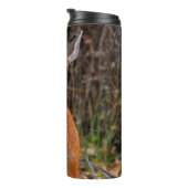 Funny Young Blacktail Deer glimlacht op fotograaf Thermosbeker (Geroteerd rechts)